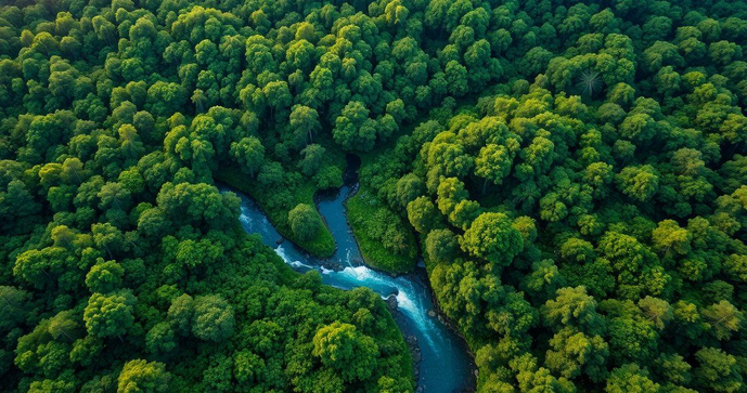 Análise de Meio Ambiente e sua Importância na Sustentabilidade Análise de Meio Ambiente e sua Importância na Sustentabilidade