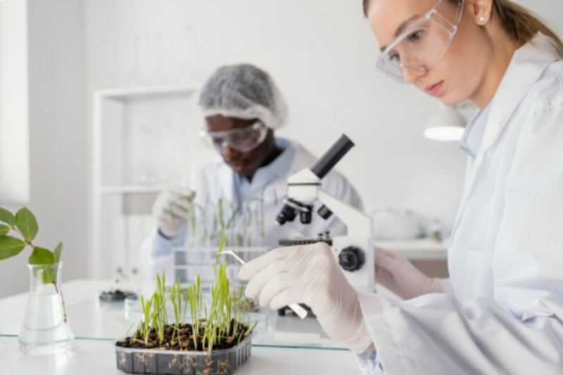 Laboratório de Análise de Solo para Avaliação da Qualidade do Solo