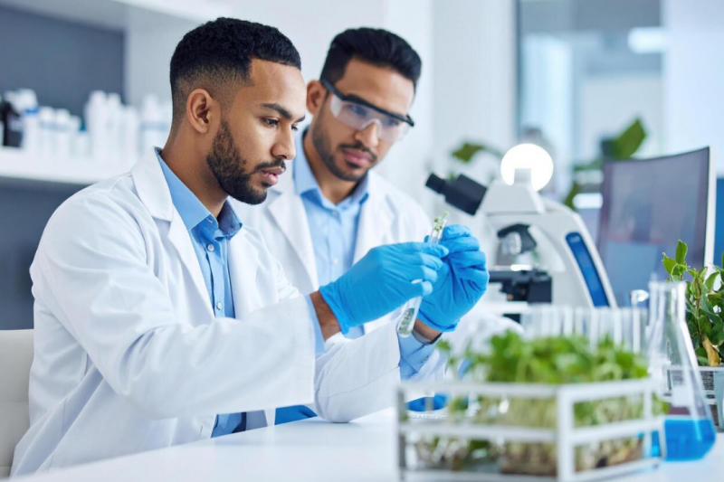 Laboratório de Análise de Solo: Revolucione sua Agricultura e Garanta Colheitas Saudáveis